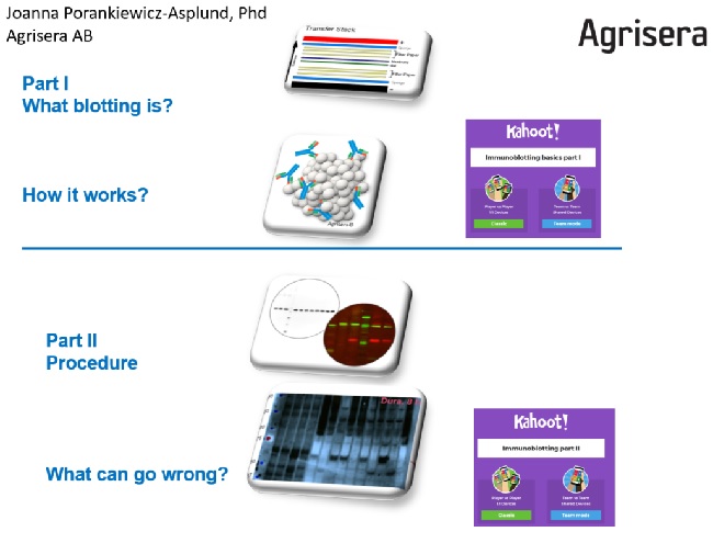 Agrisera Western Blot lecture